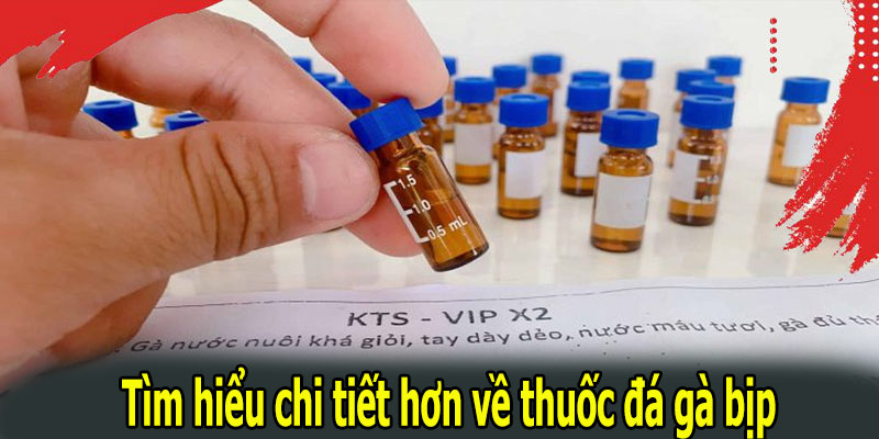 Tìm hiểu chi tiết hơn về thuốc đá gà bịp